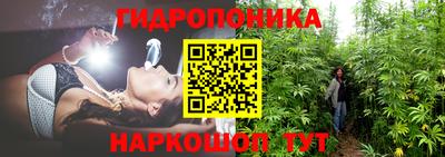 стаф Пушкино