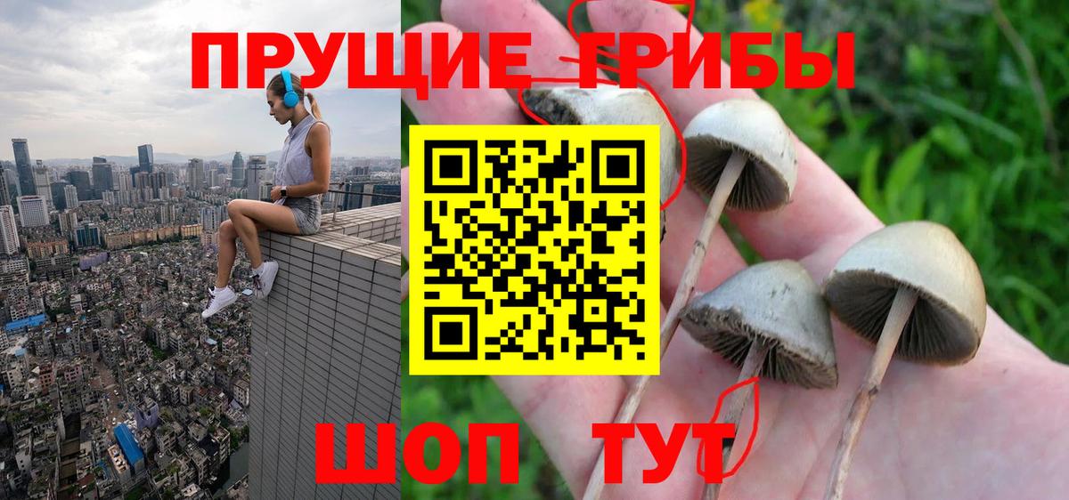Псилоцибиновые грибы мухоморы  Вход с VPN  Саяногорск 